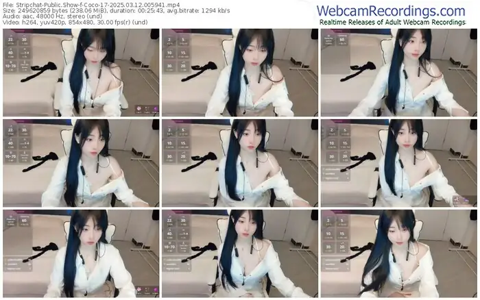 stripchat-coco-17-03-12-2025-00-59-41