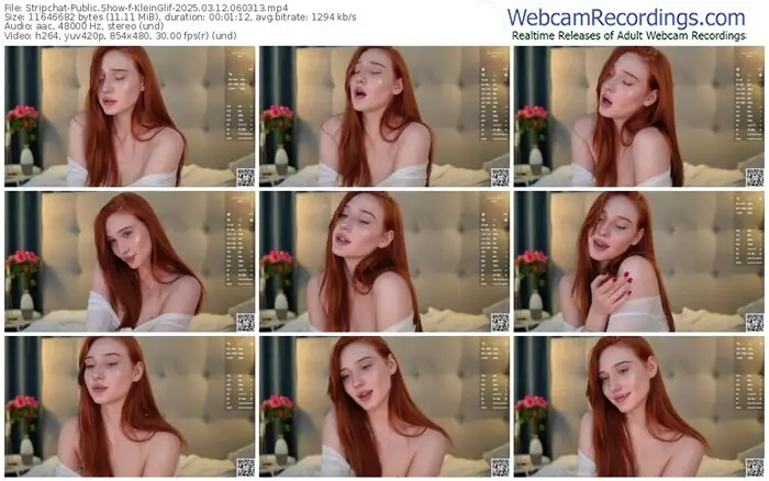 stripchat-kleinglif-03-12-2025-06-03-13