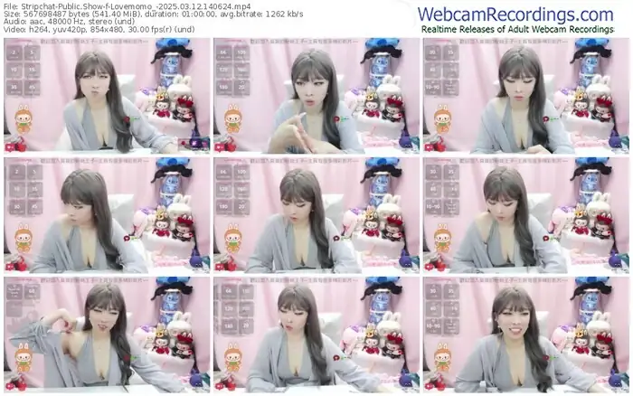 stripchat-lovemomo_-03-12-2025-14-06-24