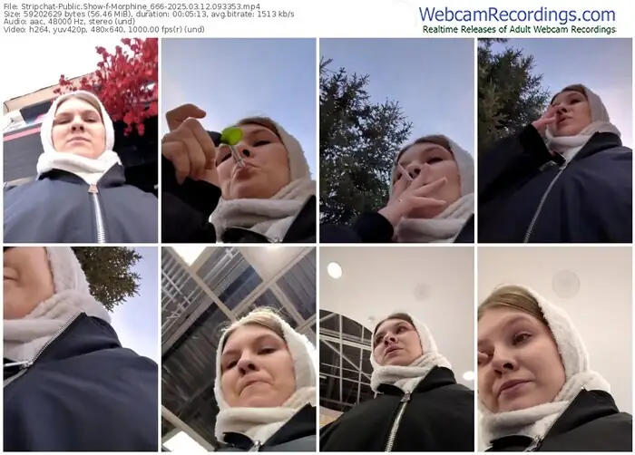 stripchat-morphine_666-03-12-2025-09-33-53