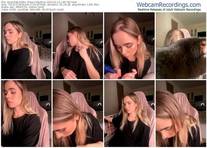 stripchat-skybriii-03-12-2025-16-57-40