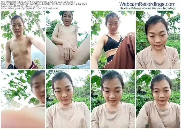 stripchat-chaoghen38oc-03-12-2025-01-01-09