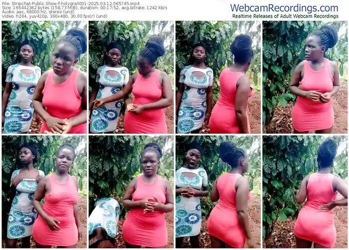 stripchat-holygrail001-03-12-2025-06-57-45