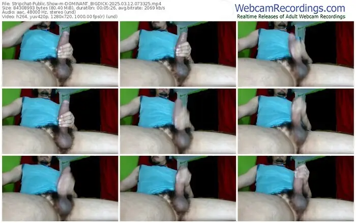 stripchat-dominant_bigdick-03-12-2025-07-33-25