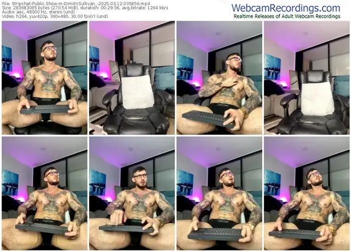 stripchat-dimitrisullivan_-03-12-2025-03-58-56