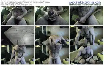 stripchat-hugealphabeast-03-12-2025-01-06-55