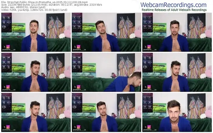 stripchat-promethe_us-03-12-2025-10-31-28