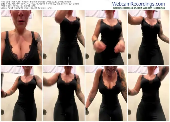 stripchat-black-flamingo-03-13-2025-19-31-23