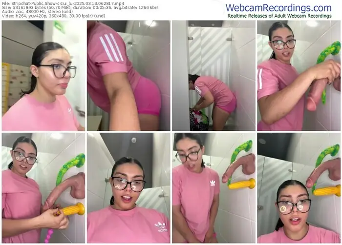 stripchat-zui_lu-03-13-2025-06-28-17