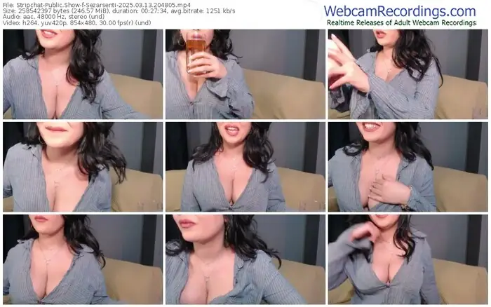 stripchat-sezarsenti-03-13-2025-20-48-05