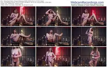 stripchat-idwenwen666-03-13-2025-17-14-17