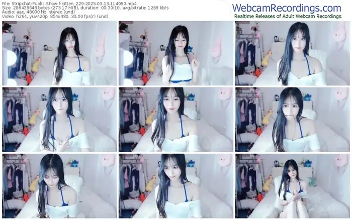 stripchat-kitten_229-03-13-2025-11-40-50