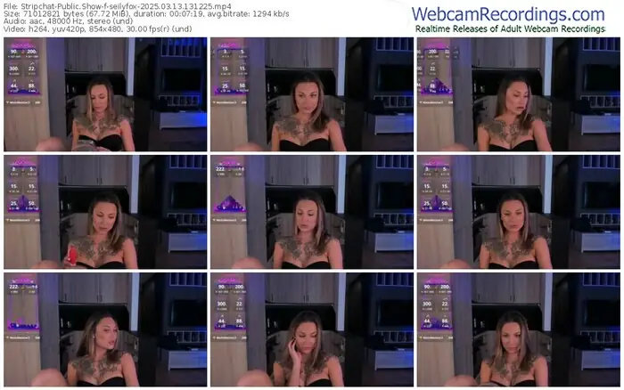 stripchat-seilyfox-03-13-2025-13-12-25