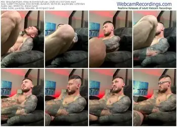 stripchat-dimitrisullivan_-03-13-2025-07-14-41