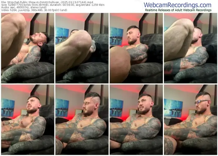 stripchat-dimitrisullivan_-03-13-2025-07-14-41