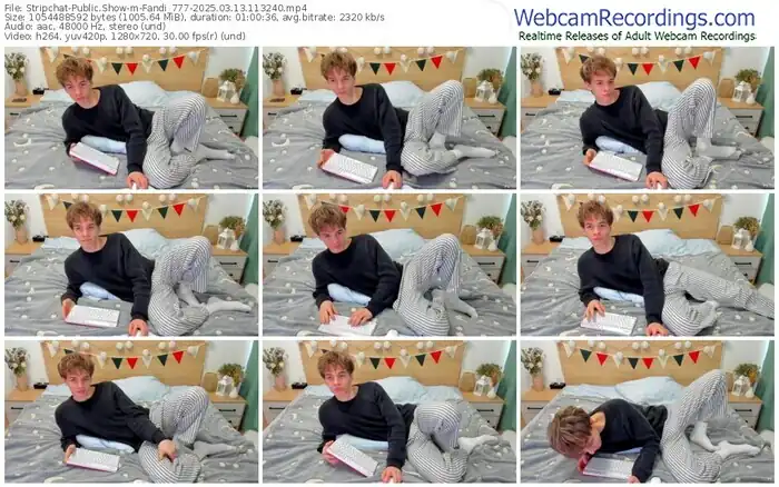 stripchat-fandi_777-03-13-2025-11-32-40