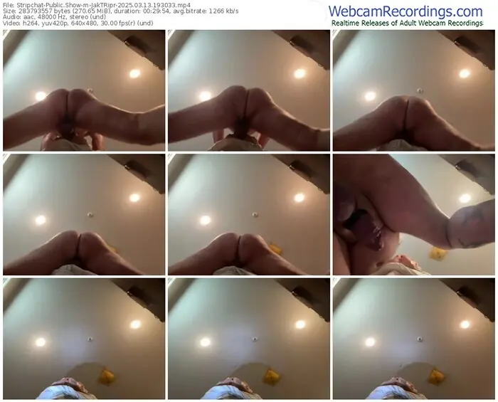 stripchat-jaktripr-03-13-2025-19-30-33