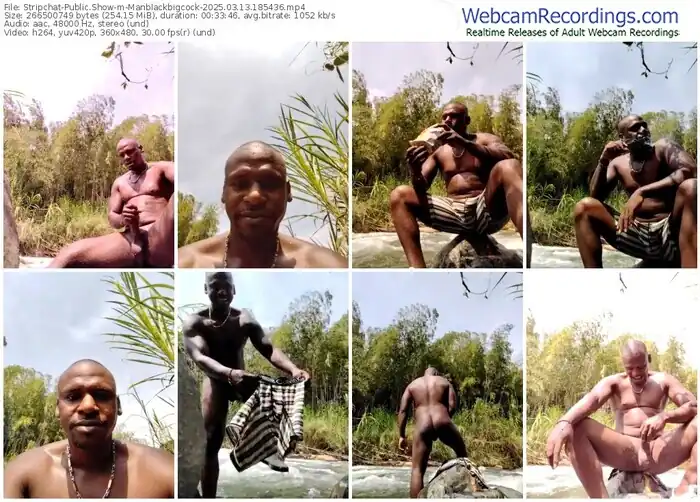 stripchat-manblackbigcock-03-13-2025-18-54-36
