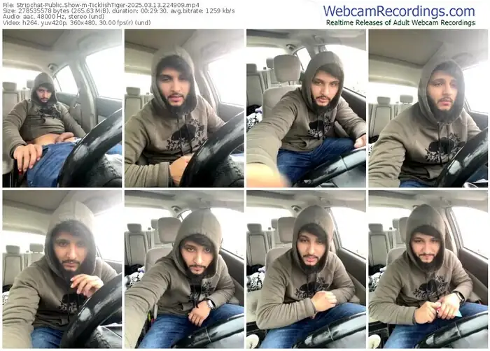 stripchat-ticklishtiger-03-13-2025-22-49-09