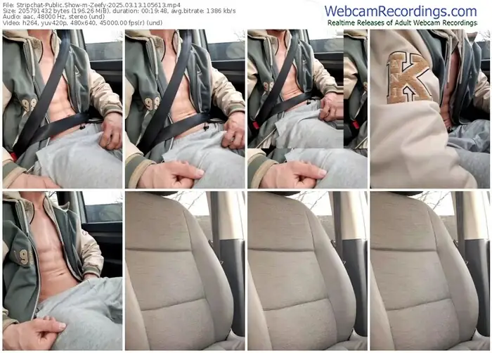 stripchat-zeefy-03-13-2025-10-56-13