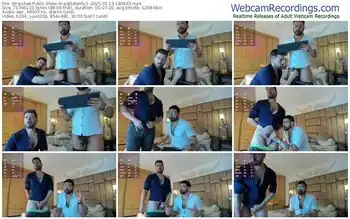 stripchat-petterwilly1-03-13-2025-18-09-43