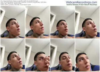 stripchat-sendfer-03-13-2025-06-06-56