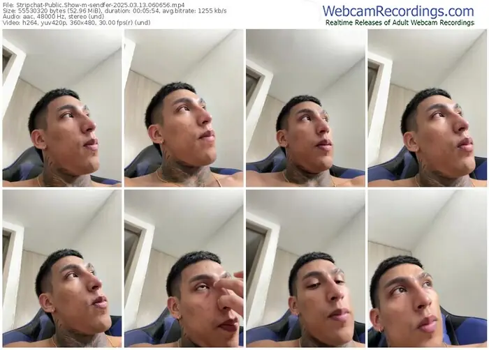 stripchat-sendfer-03-13-2025-06-06-56