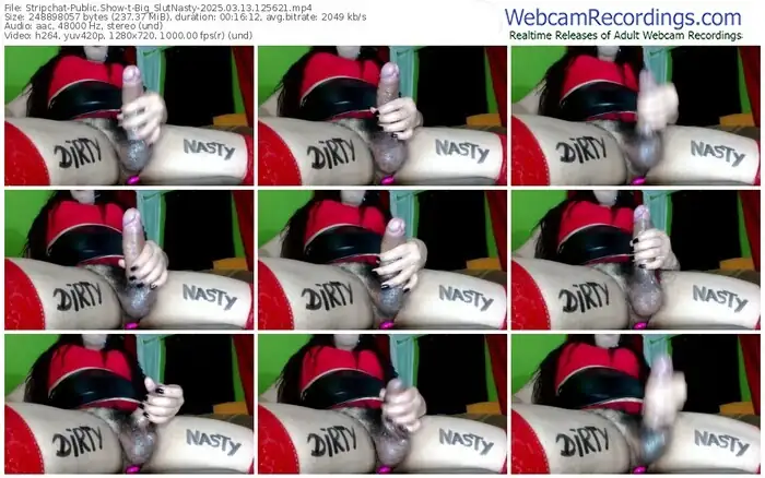 stripchat-big_slutnasty-03-13-2025-12-56-21