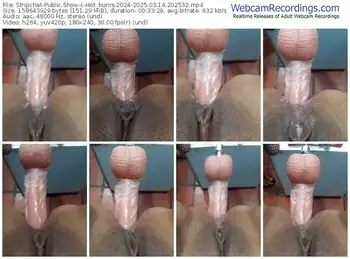 stripchat-hot_bunny2024-03-14-2025-20-25-32