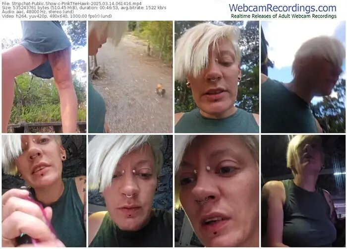 stripchat-pinkthehawk-03-14-2025-06-14-16