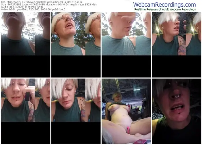 stripchat-pinkthehawk-03-14-2025-06-15-16