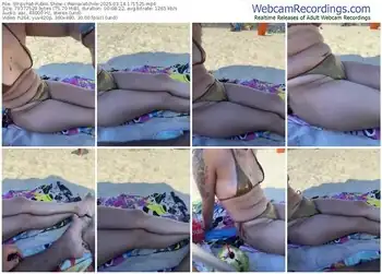 stripchat-reinacatchile-03-14-2025-17-15-25