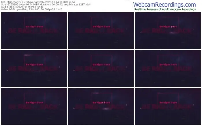 stripchat-anytoly-03-14-2025-10-10-01