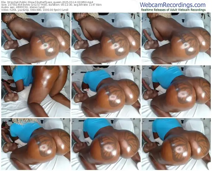 stripchat-butterflyass_queen-03-14-2025-02-28-50