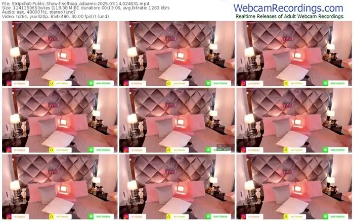 stripchat-sofhiaa_adaams-03-14-2025-02-48-31