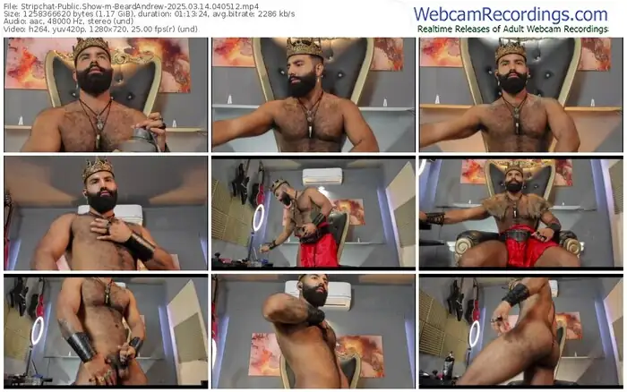 stripchat-beardandrew-03-14-2025-04-05-12