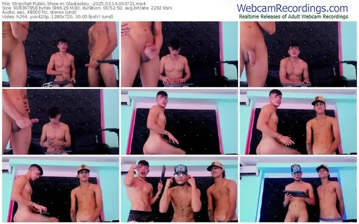 stripchat-gladiosboy_-03-14-2025-00-37-21