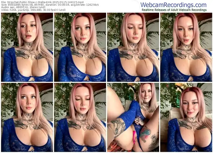 stripchat-stella-kink-03-15-2025-14-41-15