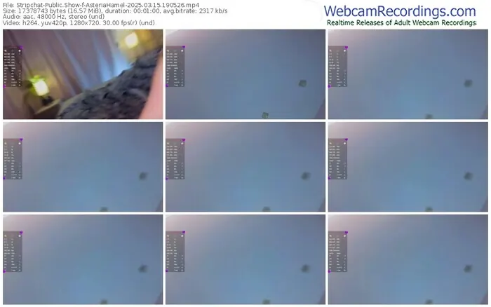 stripchat-asteriahamel-03-15-2025-19-05-26