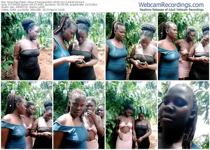 stripchat-holygrail001-03-15-2025-08-41-09