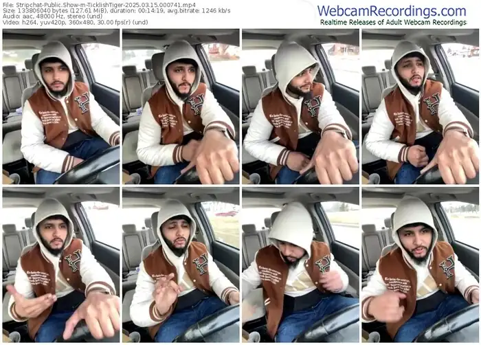 stripchat-ticklishtiger-03-15-2025-00-07-41