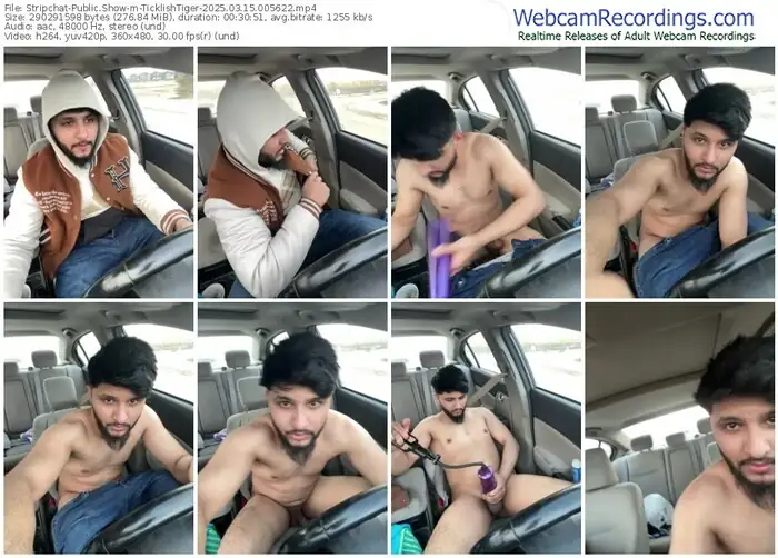 stripchat-ticklishtiger-03-15-2025-00-56-22