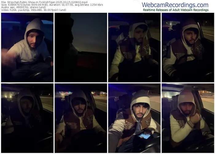 stripchat-ticklishtiger-03-15-2025-02-08-02