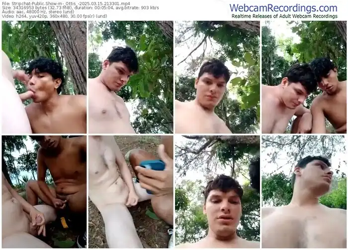 stripchat-_ottis_-03-15-2025-21-33-01