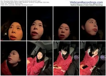 stripchat-lyjyao52-03-16-2025-15-44-47