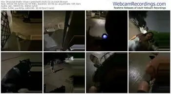 stripchat-perlita05-03-16-2025-04-25-38