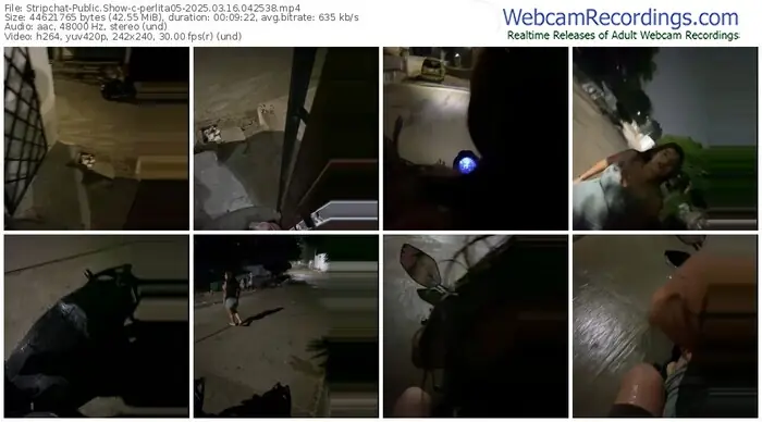 stripchat-perlita05-03-16-2025-04-25-38