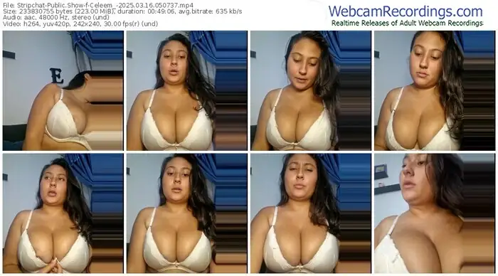 stripchat-celeem_-03-16-2025-05-07-37