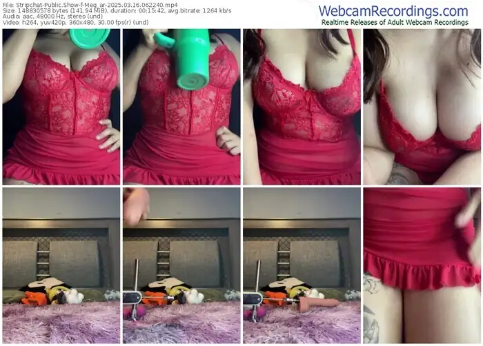 stripchat-meg_ar-03-16-2025-06-22-40