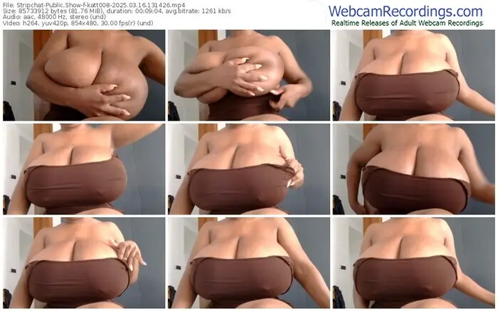 stripchat-katt008-03-16-2025-13-14-26